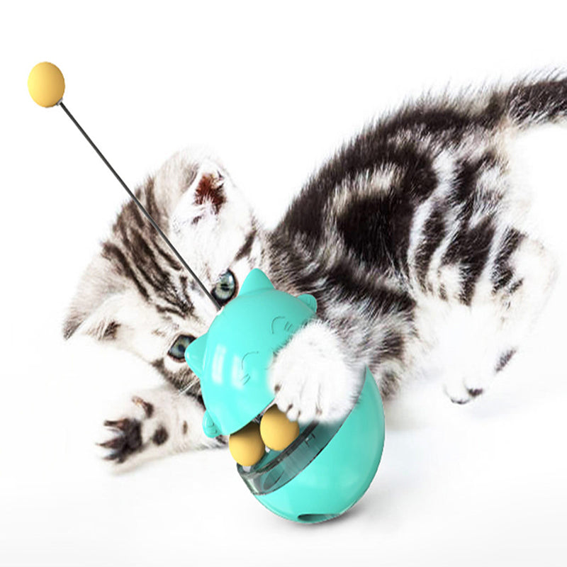 Fun Cat Ball Track Toy for Indoor Play