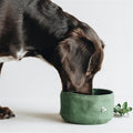 Waterproof foldable travel dog bowl for hiking and camping - Portable pet feeding accessory for AU & Canada.