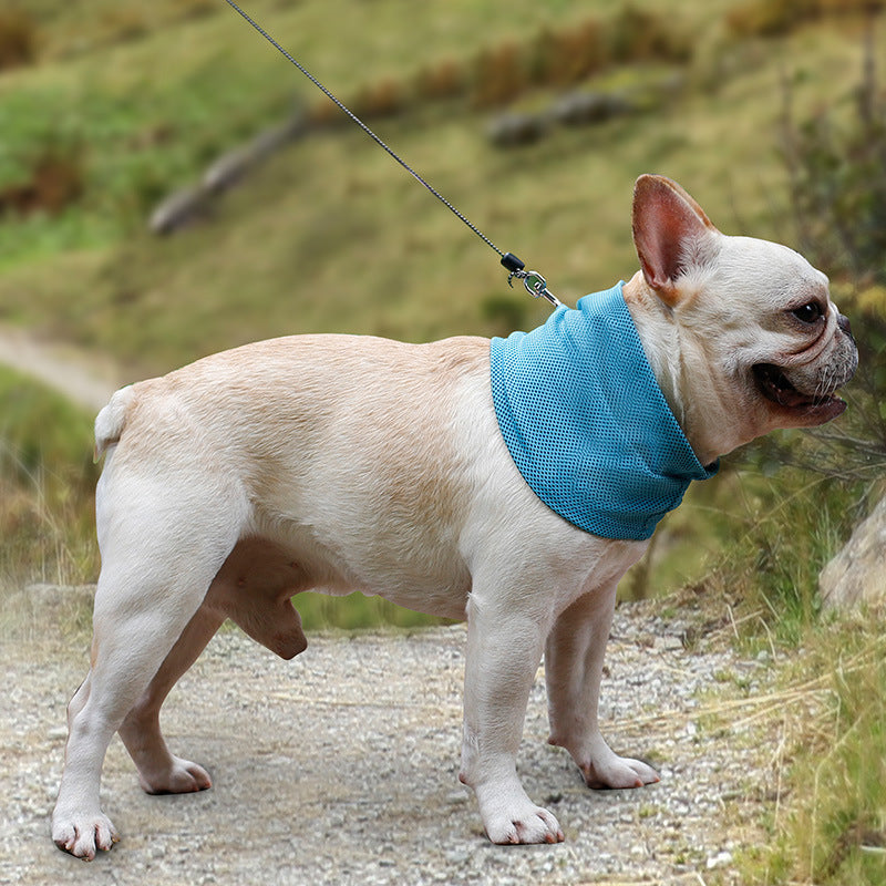 Gentle cooling dog scarf for summer - Refreshing heat-relief bandana for active dogs in AU & Canada.