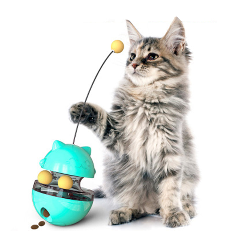 Fun Cat Ball Track Toy for Indoor Play