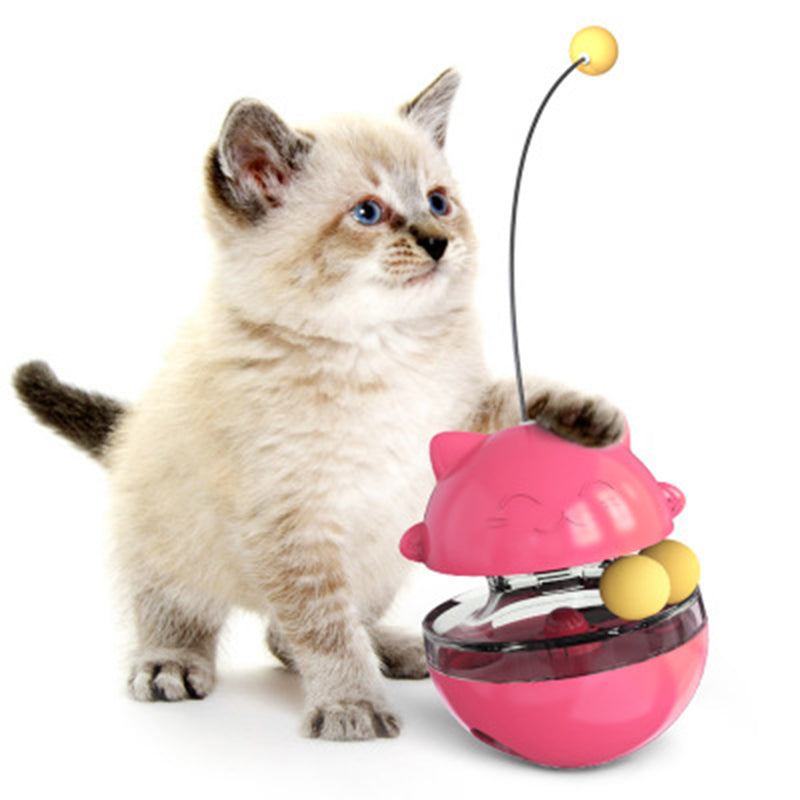 Fun Cat Ball Track Toy for Indoor Play