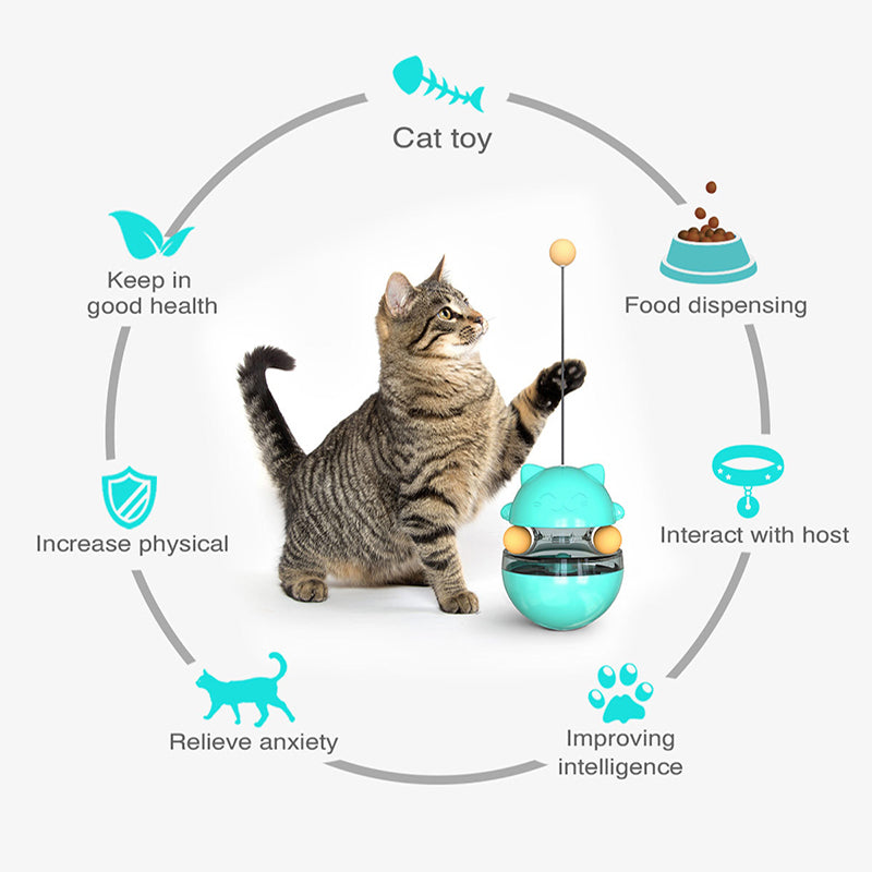 Fun Cat Ball Track Toy for Indoor Play