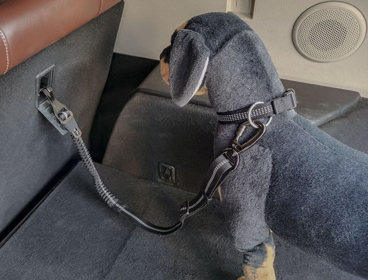 Adjustable retractable dog seat belt - Vehicle safety harness tether for pet travel in NZ, AU & Canada.