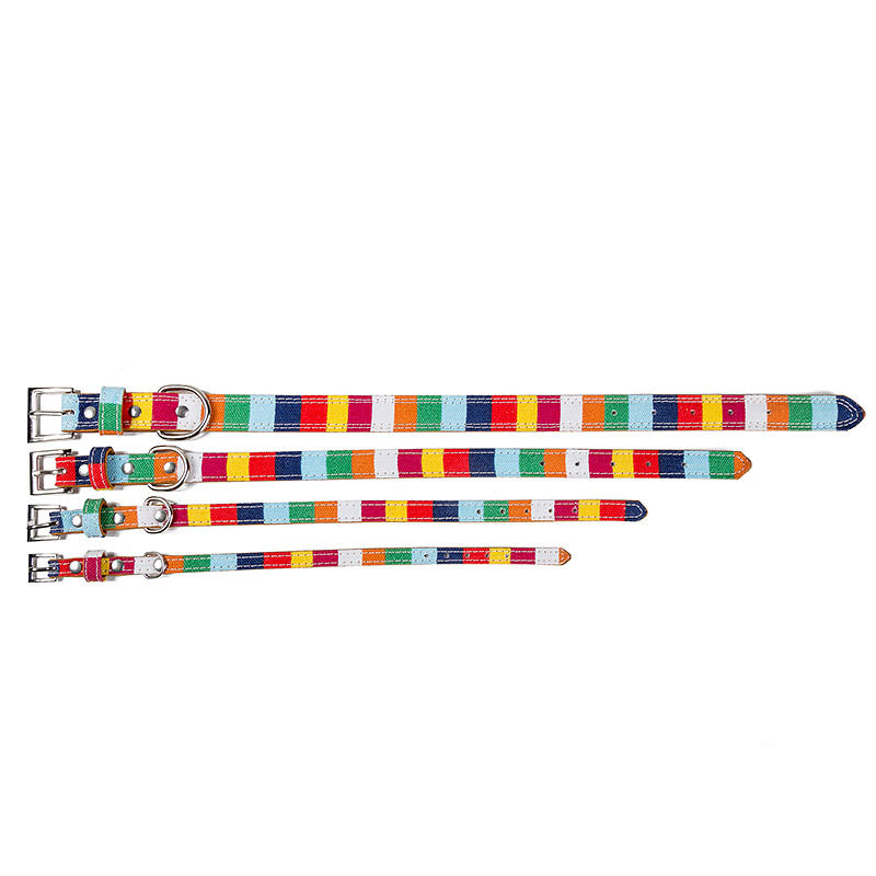 Comfortable rainbow dog collar - Vibrant adjustable safety collar for stylish dogs in AU & NZ.