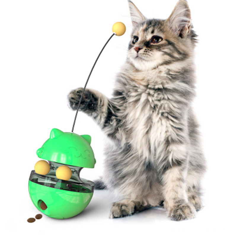 Fun Cat Ball Track Toy for Indoor Play
