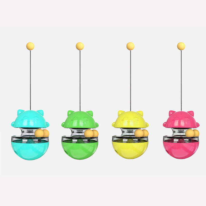 Fun Cat Ball Track Toy for Indoor Play