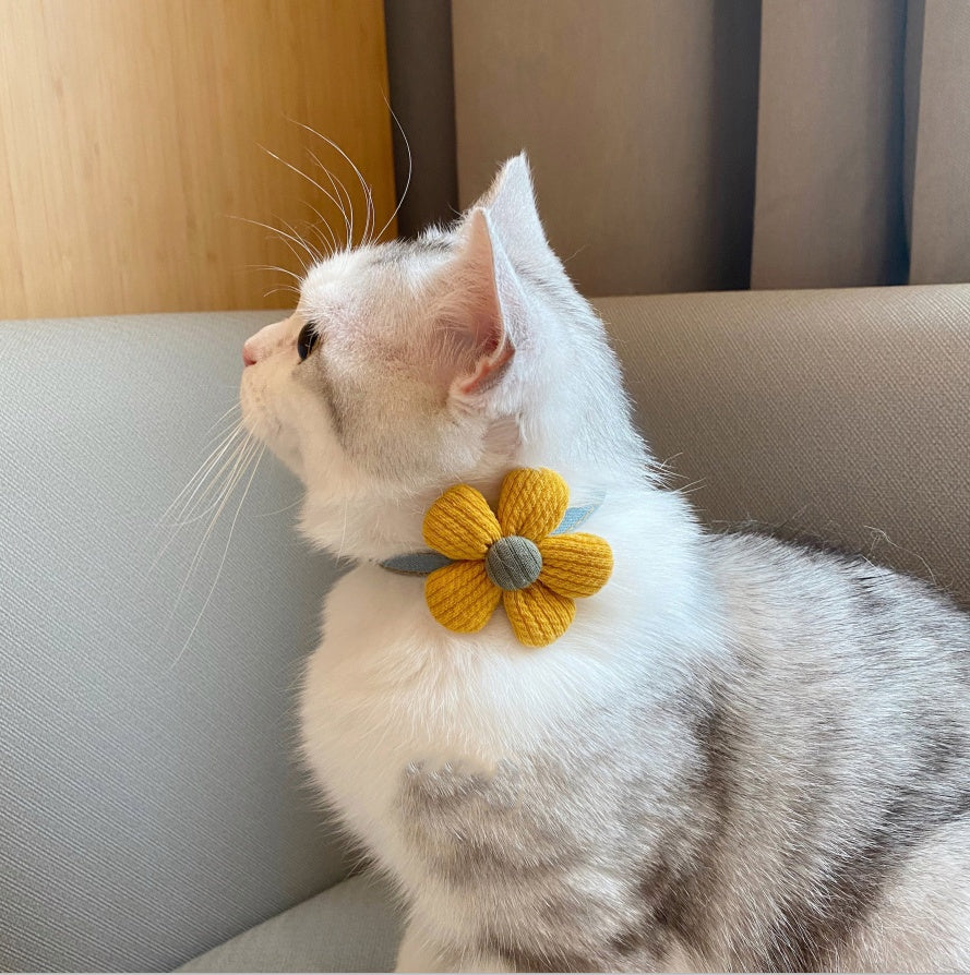 Adorable kitten bow tie collar with bell - Soft adjustable safety collar for small cats in AU, NZ & Canada.