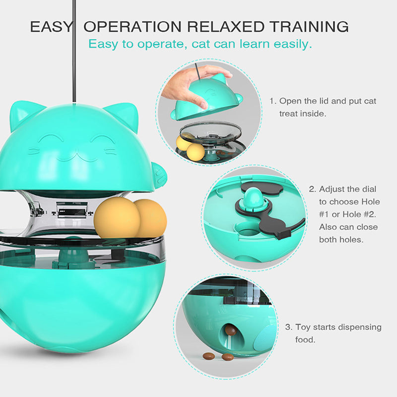 Fun Cat Ball Track Toy for Indoor Play