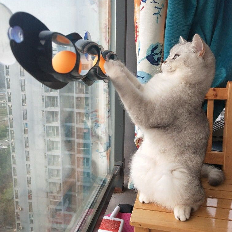 Windowsill Cat Track Ball Toy - Indoor enrichment for apartment-living cats in AU, NZ & Canada.