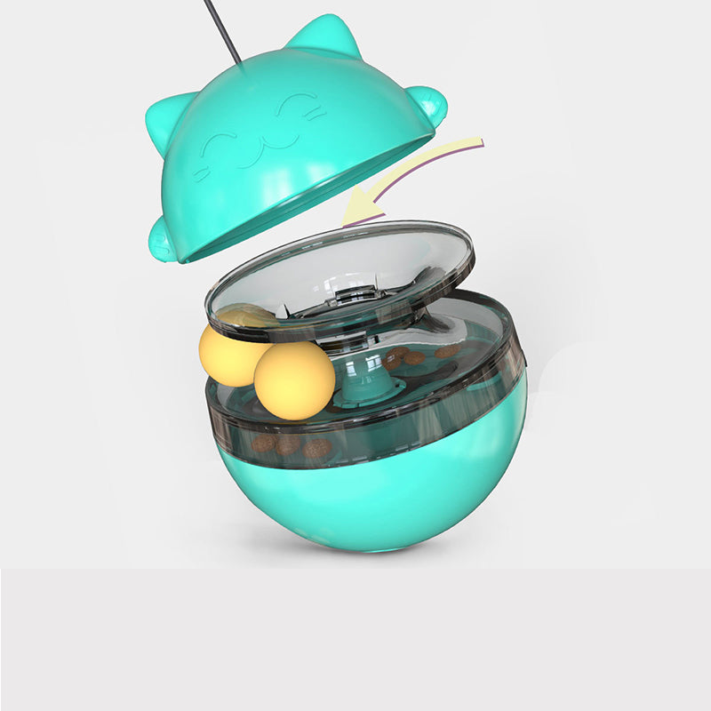 Fun Cat Ball Track Toy for Indoor Play