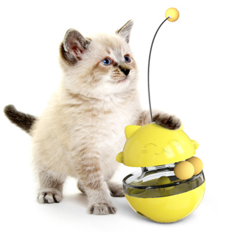 Fun Cat Ball Track Toy for Indoor Play