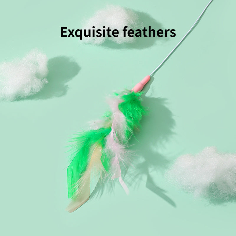 Interactive cat feather wand toy - Durable bird-mimic teaser for indoor play in Australia & NZ.