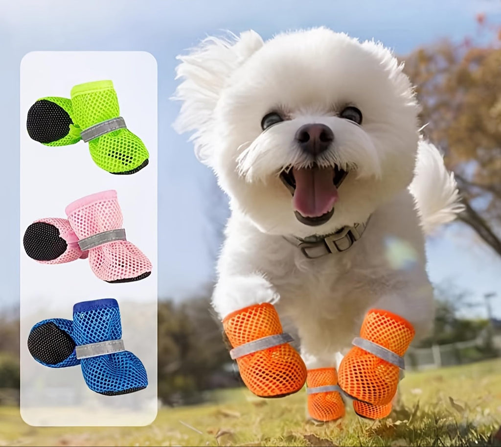 A small dog wearing breathable summer boots while walking safely on an outdoor concrete sidewalk.